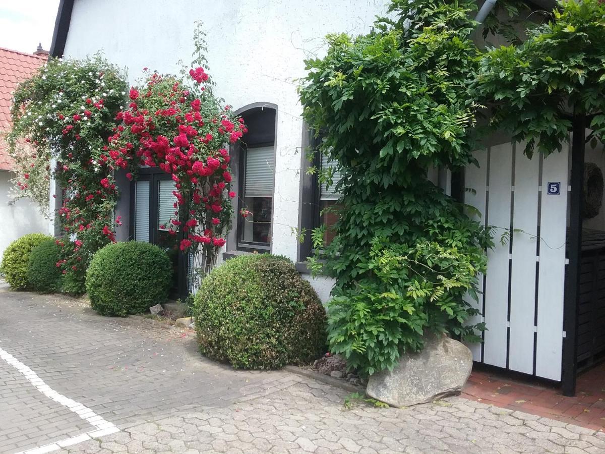 Altstadt-Apartment Petershagen Bagian luar foto
